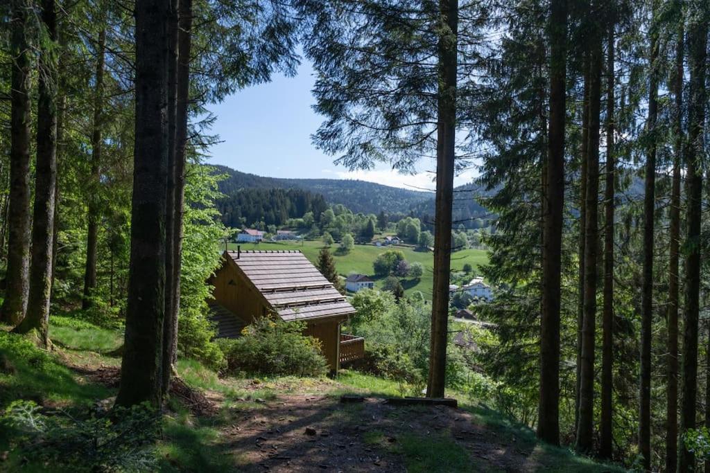 Charmant Chalet Cosy & Paisible En Pleine Nature - Refuge Idyllique Pour 5P Gérardmer Екстериор снимка